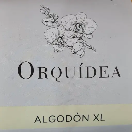 Orquídea ALGODÓN XL